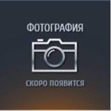 Украшение для очков L Tz-1 Украшение для очков L Tz-1