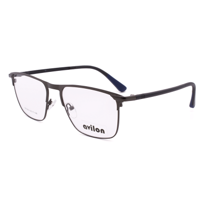 Avilon 1003 DS c2