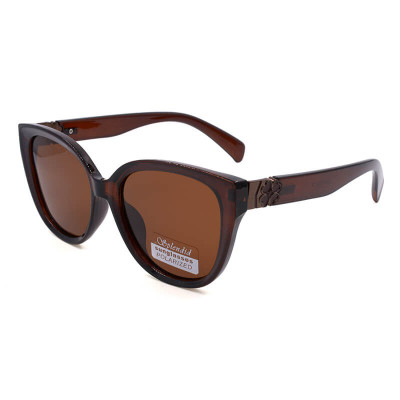 Splendid 2509 DNP c4