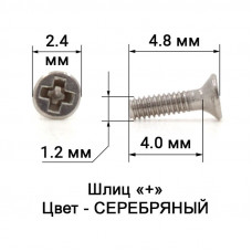 1009_4,8 Винт серебро для крепления