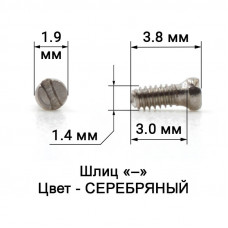 1011_3,8 Винт серебро для крепления