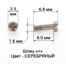 1042_6,0 Винт серебро для пластикового заушника 
