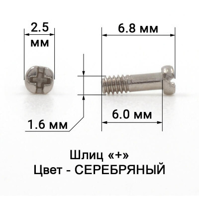 1042_6,0 Винт серебро для пластикового заушника 